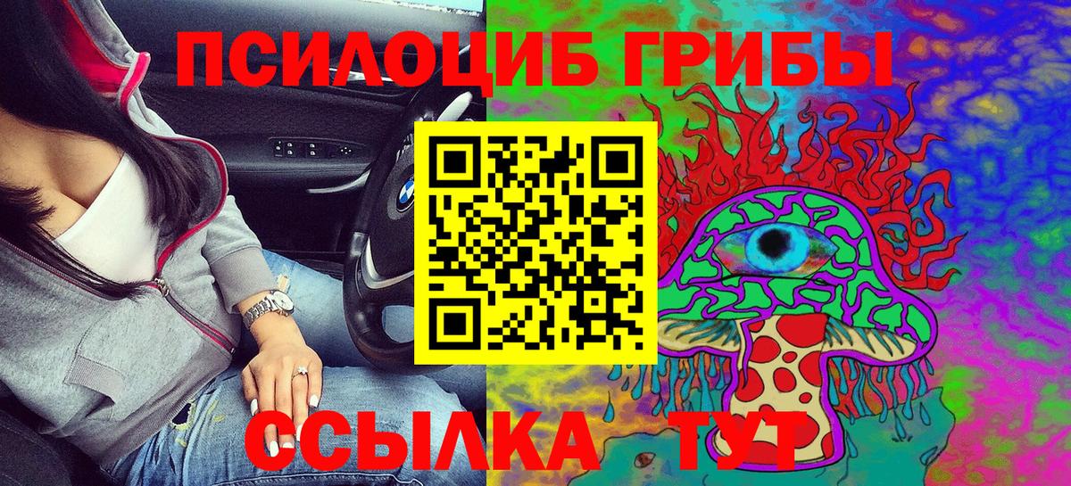 Псилоцибиновые грибы Cubensis Борисоглебск