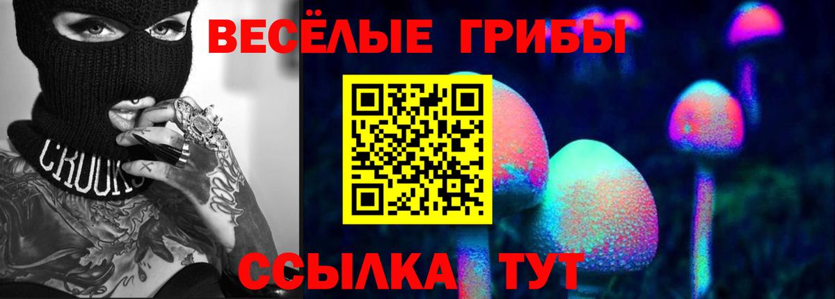 Борисоглебск  Псилоцибиновые грибы прущие грибы  Вход с VPN 